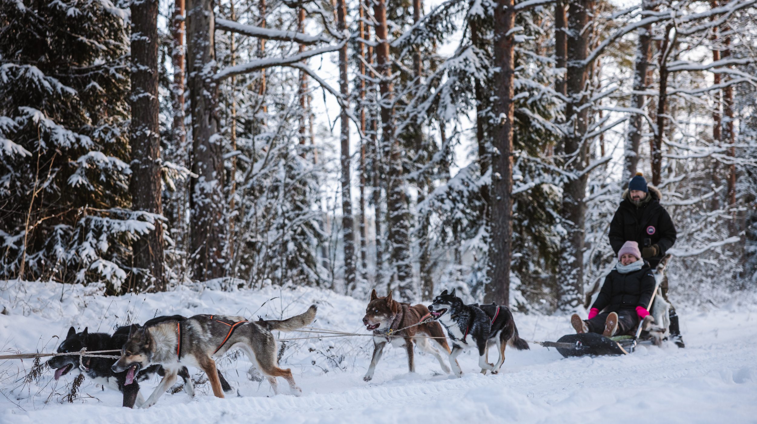 greete-motell-jaanuar-2026-web-21