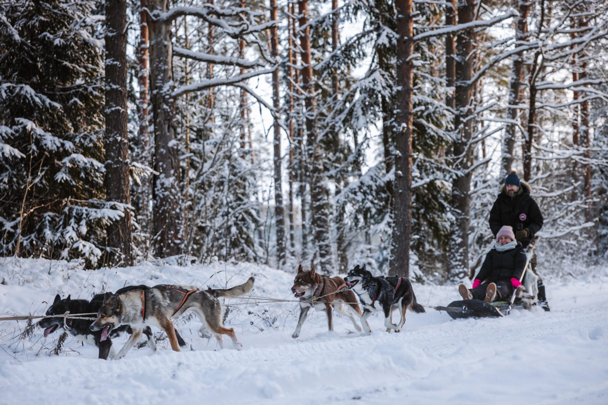 greete-motell-jaanuar-2026-web-21