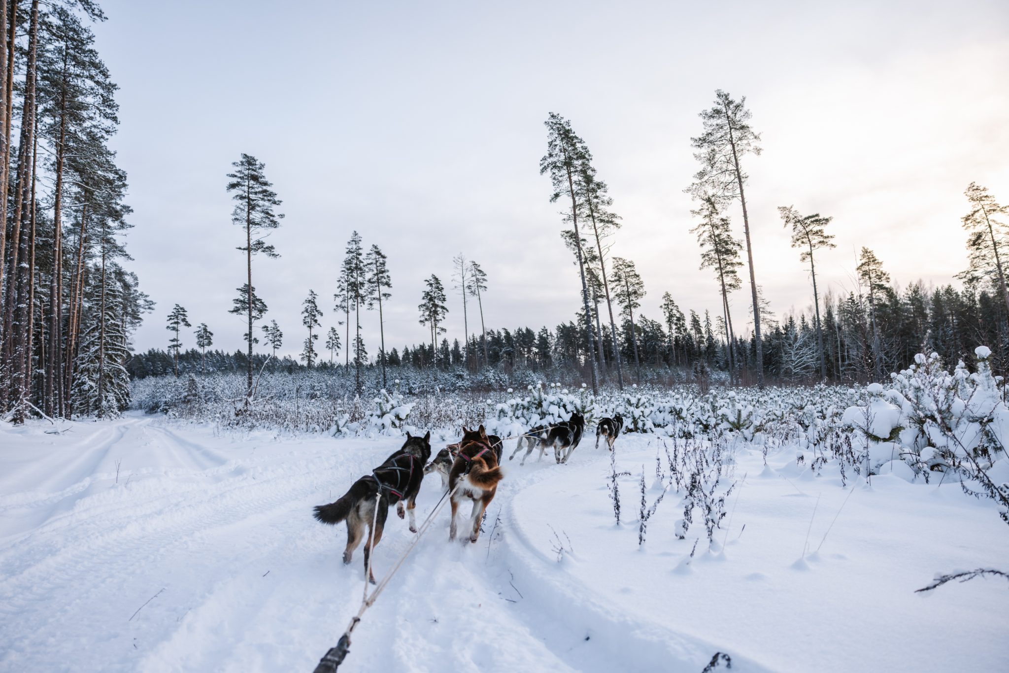 greete-motell-jaanuar-2026-web-40